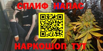 сатива Бузулук