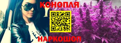 сатива Бузулук
