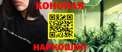сатива Бузулук