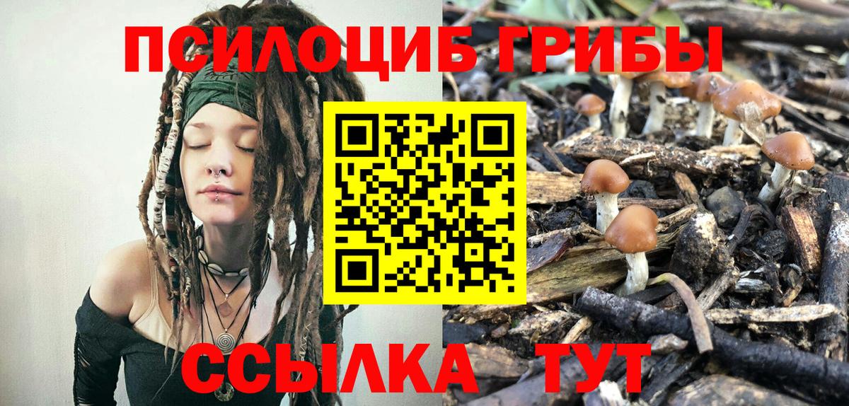 как найти закладки  Псилоцибиновые грибы мухоморы  Вход с VPN  Галлюциногенные грибы Psilocybine cubensis  Нурлат 